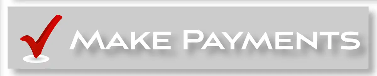 Completely Online Title Loan Payments